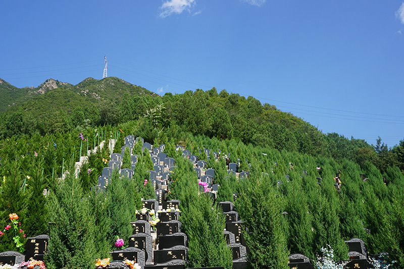 北京和周边陵园对比，景仰园和清东陵万佛园该怎么选？